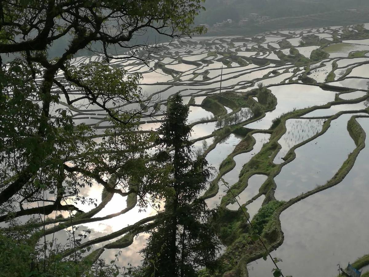 多依湾客栈havre De Paix Duoyiwan Hotel Yuanyang  Buitenkant foto